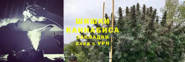 индика Бронницы